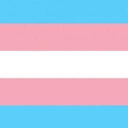 Transgender flag