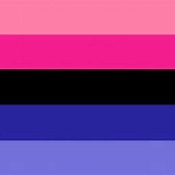 Omnisexual flag